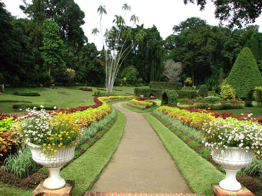 Apple Sara Home Stay Kandy Ngoại thất bức ảnh